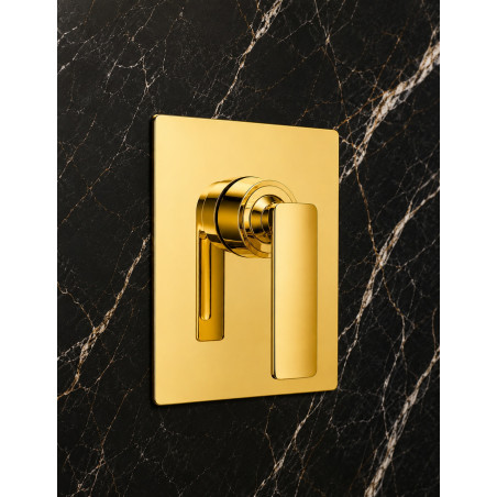 Mezclador de ducha dorado Primacia Brillante