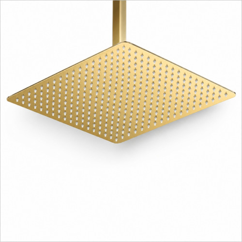 Ducha Extragrande Antihongos Dorado Brillante 40cm Techo Tames Md