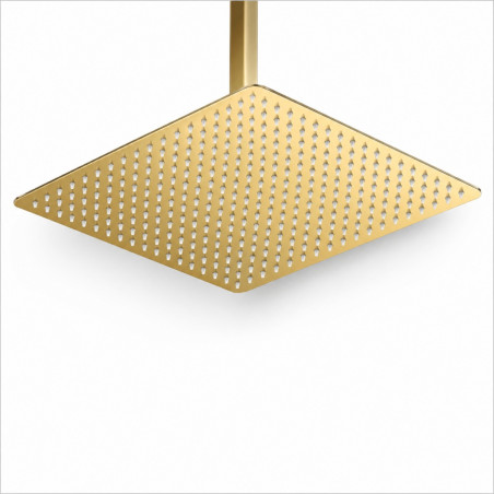 Ducha Extragrande Antihongos Dorado Brillante 40cm Techo Tames Md