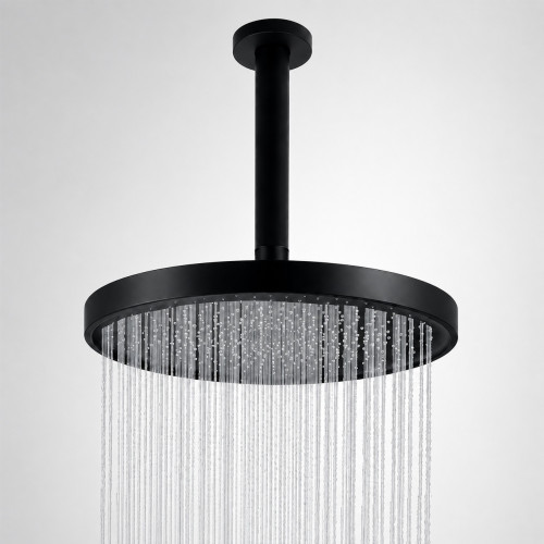 Regadera Antihongos Ducha Negro Mate Self-cleaning A Techo