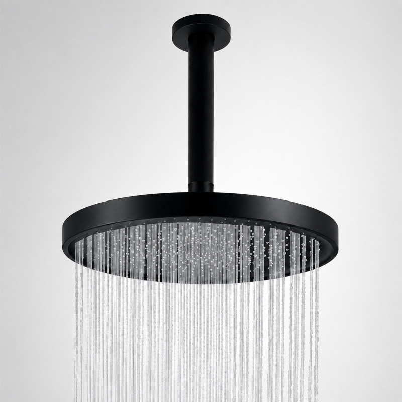 Regadera Antihongos Ducha Negro Mate Self-cleaning A Techo