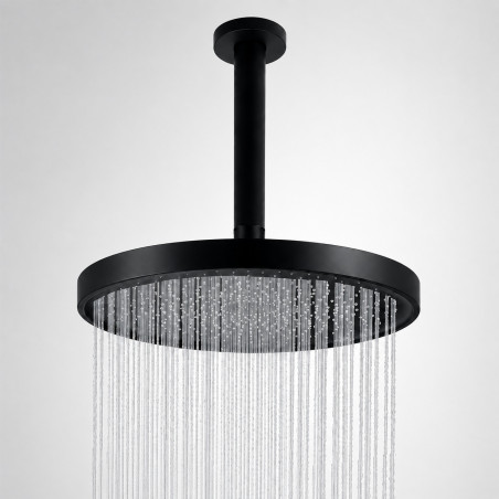 Regadera Antihongos Ducha Negro Mate Self-cleaning A Techo