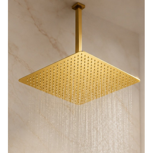 Ducha Extragrande Antihongos Dorado Brillante 40cm Techo Tames Md