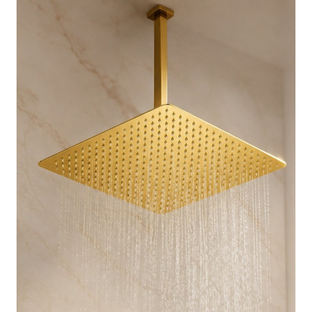 Ducha Extragrande Antihongos Dorado Brillante 40cm Techo Tames Md