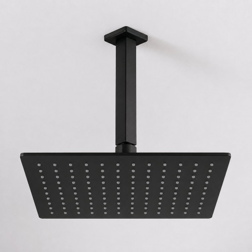 Regadera Techo Anticalcárea Rectangular Expresión Negra Tm