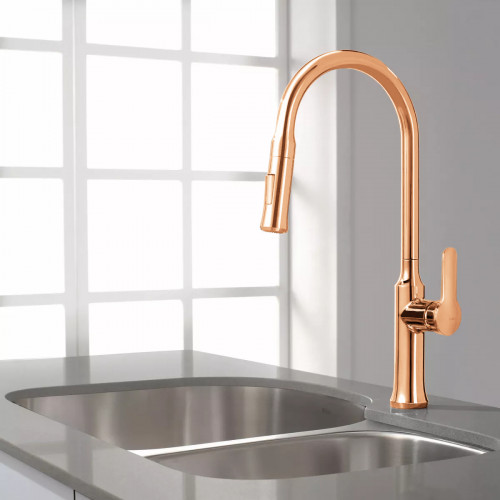 Griferia Lavaplatos...